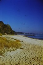 View north along the beach